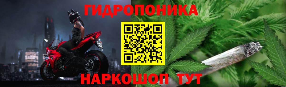 Копейск  Конопля тримм  Вход с VPN  Шишки марихуана индика  Шишки марихуана план 